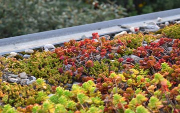 the cost of Cnwch Coch green roof installation