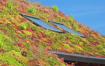 Cnwch Coch living roof systems